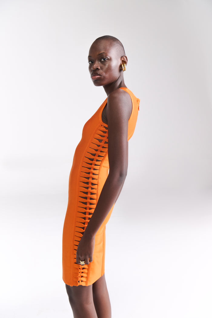 Bodycon Dress With Cutout Bow Detailing Along The Sides