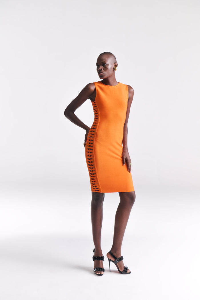 Bodycon Dress With Cutout Bow Detailing Along The Sides - Tastes Like Couture