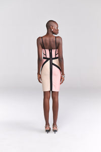 Soft Blush and Nude Colourblock Bodycon Dress - Tastes Like Couture